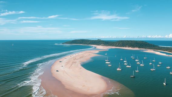 Noosa Dolphin View Sea Kayak and Beach 4X4 Adventure Day Tour