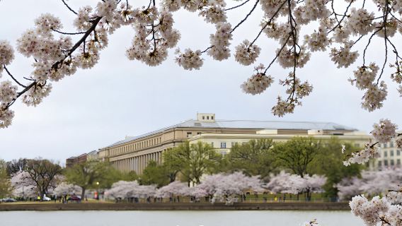 美國紐約+華盛頓經典遊 可定制多日【中文專車-舒適純淨】