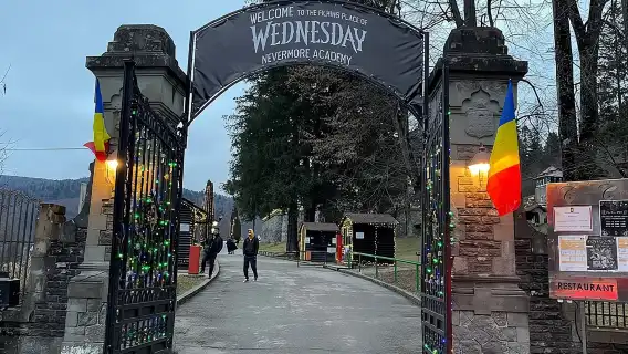 3 Castle:Peles ,Bran,Cantacuzino Tour from Brasov /Hotel pickup 