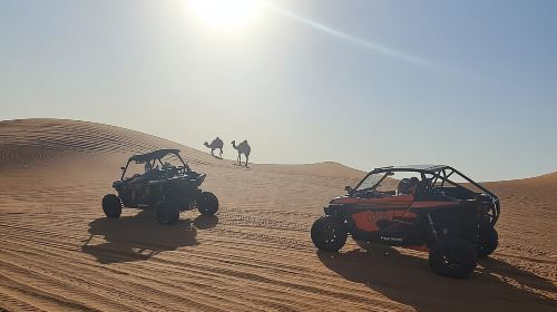 Dubai Morning Buggy Dunes Safari with Sandboarding & Camel Ride Day Tours 6