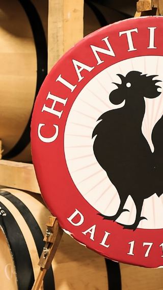 Half-Day Tour in Chianti, Italy|Includes visits and wine tasting at 2 traditional wineries