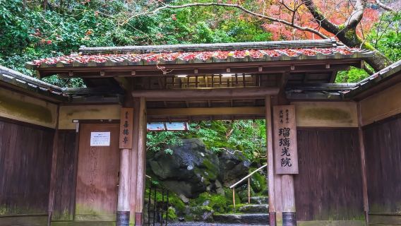 日本京都-瑠璃光院-三千院-貴船神社-嵐山-紅葉巡禮.紅葉季