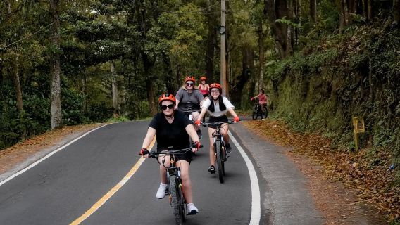Avventura in e-bike a Bali: tour tra foreste, fattorie e cultura