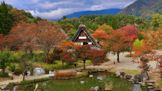 Nagoya Hidatakayama Sanmachi Historic District old townscape + Shirakawa-go day tour