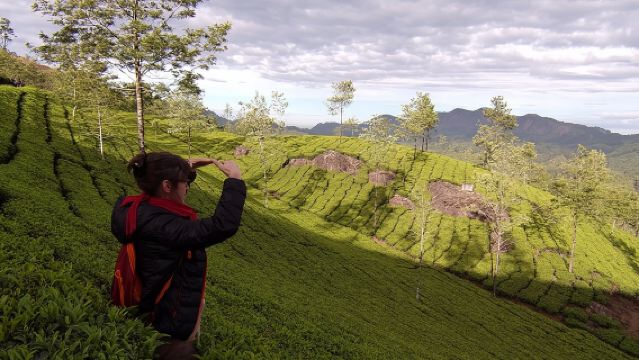 Half day trekking (munnar valley Trekking & Tours )