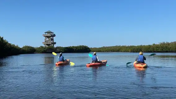 Robinson Preserve Mangrove Tour