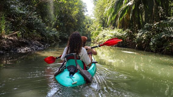 Mangroven-Kajaktour | Quepos & Manuel Antonio