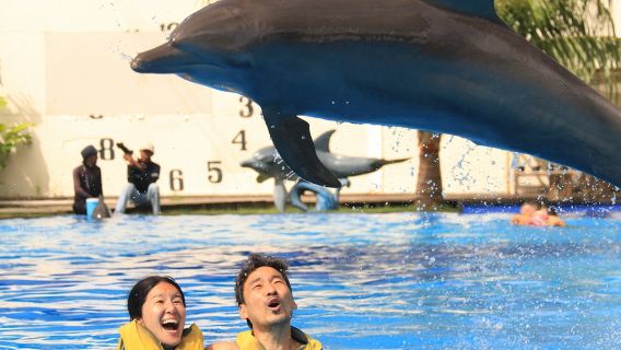 Парк дельфинов на Бали + семейный дневной тур
