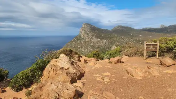 Cape Town: ทัวร์กลุ่ม Shairing บนคาบสมุทร Cape Peninsula ครึ่งวัน