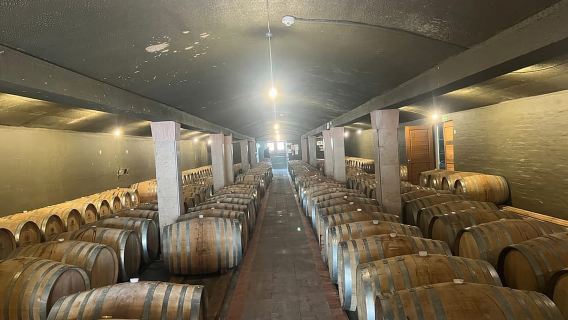 Pengalaman Cape Winelands: Paarl, Stellenbosch & Franschhoek