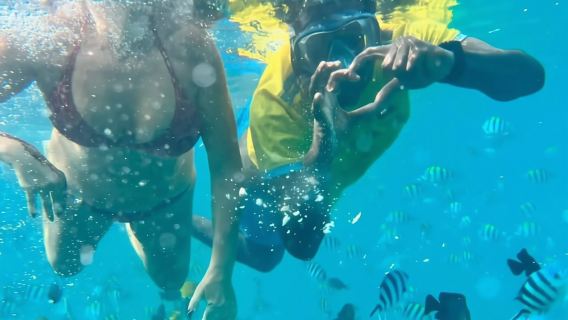 Zanzibar: osservazione dei delfini all'isola di Mnemba e crociera al tramonto