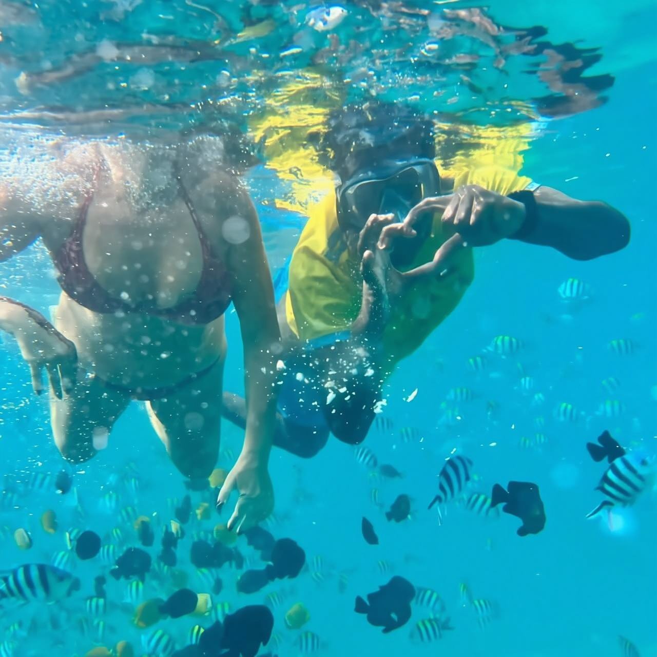 Zanzibar: Menonton Lumba-lumba Pulau Mnemba dan Pelayaran Matahari Terbenam