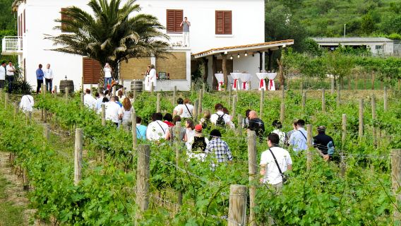 Ab Dubrovnik: Tour durch das Konavle-Tal mit Weinprobe