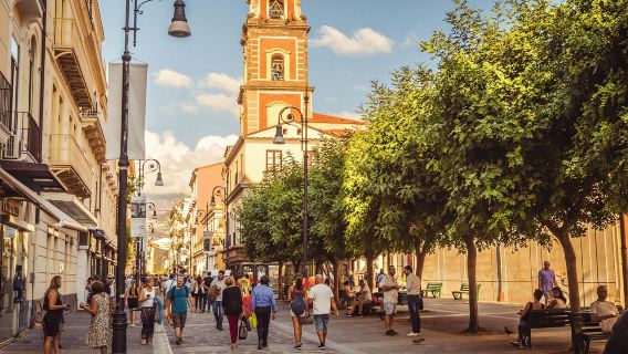 Desde Nápoles: tour privado de Pompeya, Sorrento y Positano
