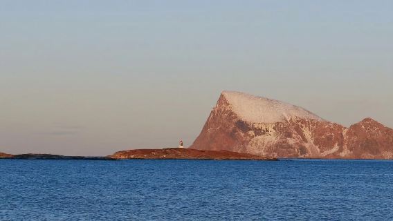 Tromso bus Northern Lights chase half-day tour