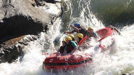 Tour chèo thuyền vượt thác Barron tại Cairns nửa ngày [Dịch vụ tiếng Anh + Đón trả khách tại nhiều điểm trong thành phố + Hướng dẫn viên chuyên nghiệp]