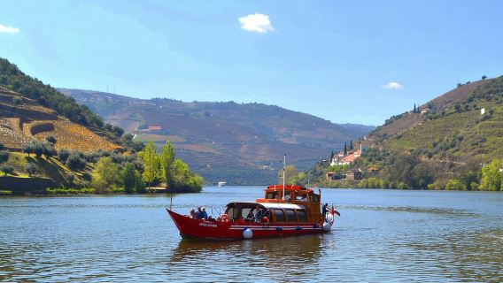 Douro Tour with Wine Tasting and Visit to Lamego and Pinhão