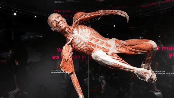 Body Worlds Amsterdam: Ticket für das Glücksprojekt
