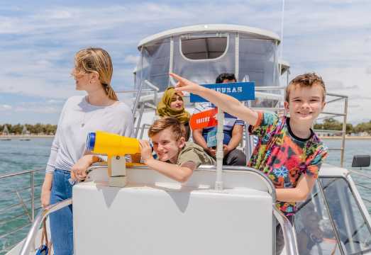 Mandurah: Dolphin and Views Cruise AUD 41.84