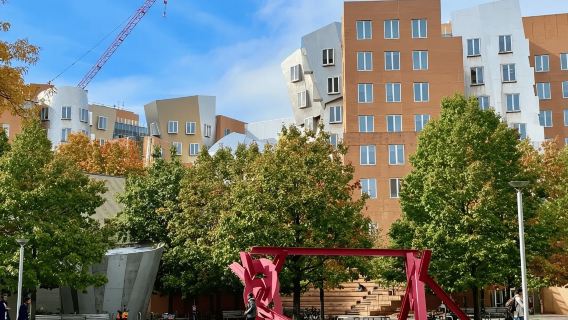 ケンブリッジ：学生ガイド付きMITガイド付きウォーキングツアー