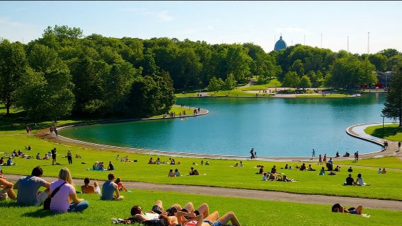 Mount Royal Park + Old Montreal + Old Port Area Tour