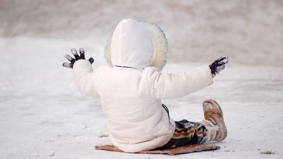 Seoul: Tour tham quan Thung lũng nghệ thuật Pocheon, Vườn và Hái trái cây trong ngày