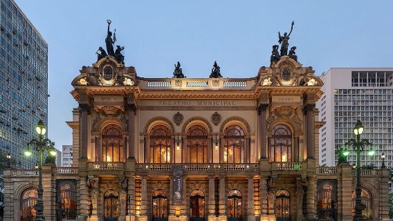 ブラジル・サンパウロ ピニェイロス川/バットマン路地 中国語/英語貸切チャーター