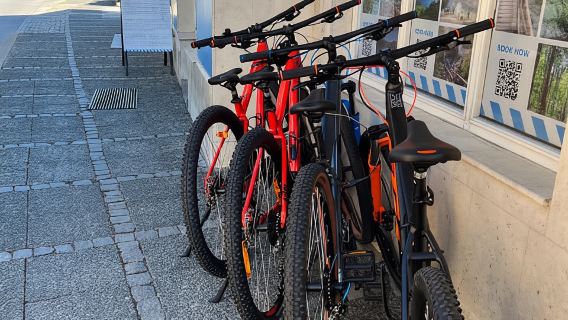 Bled: noleggio mountain bike