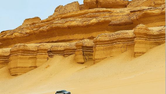 Égypte · Le Caire - Fayoum - Vallée des Baleines - Oasis du désert|Personnalisation d'itinéraire/Service de transfert