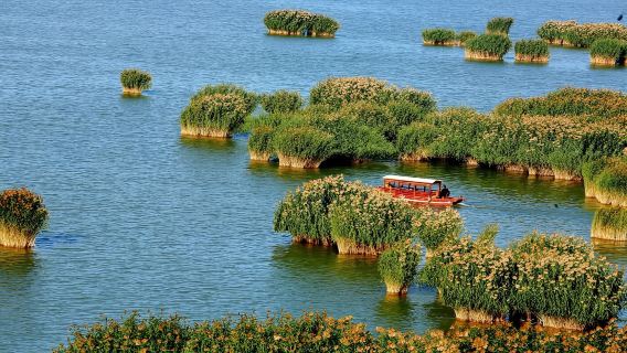 寧夏銀川沙湖+鎮北堡西部影城+賀蘭山岩畫一日遊