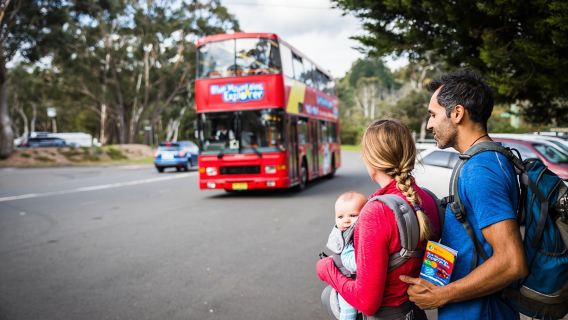 Blue Mountains Sydney: Hop-on Hop-off Bus + Scenic World Unlimited Rides Pass