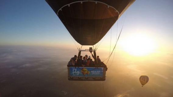 60-минутный полёт на воздушном шаре в долине Камден, Сидней