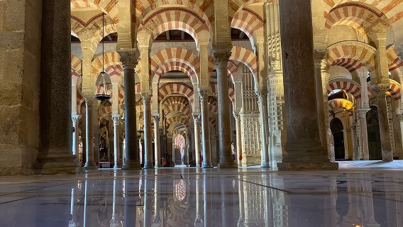 Tham quan riêng Nhà thờ Hồi giáo-Nhà thờ lớn, khu phố Do Thái, Alcazar và Giáo đường Do Thái