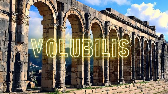Day trip from Fes to Volubilis Moulay Idriss & Meknes
