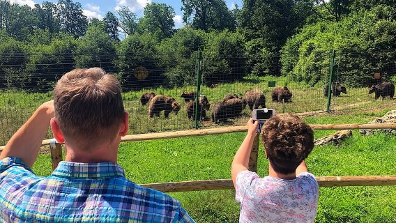 Bear Sanctuary, Bran (Dracula) Castle, Peles Castle From Brasov