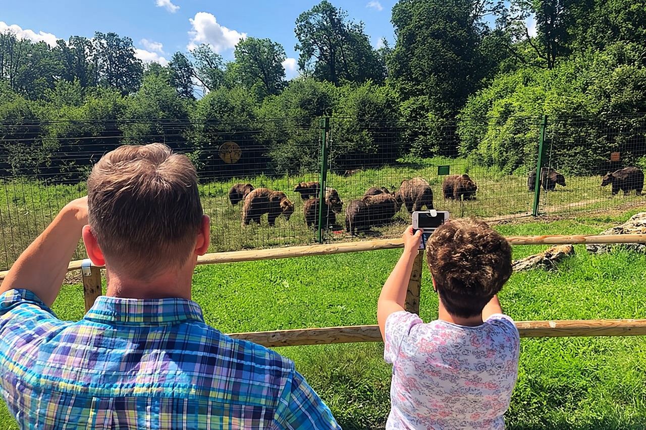 브라쇼브에서 출발하는 곰 보호구역, 브란(드라큘라) 성, 펠레슈 성
