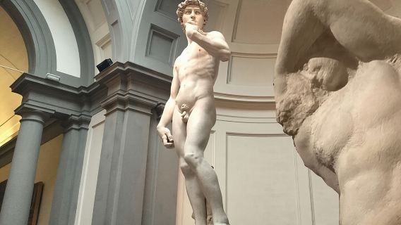 Galería David & Accademia: Visita guiada en grupo reducido de 1 hora