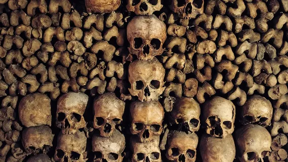  Paris Catacombs Tour