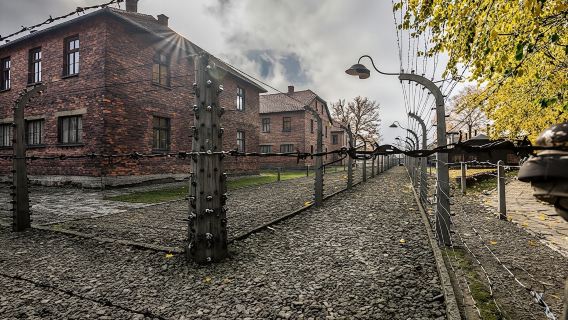 Visite guidée en français d'Auschwitz-Birkenau avec prise en charge à l'hôtel