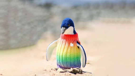 Melbourne Puffing Billy Train and Phillip Penguin Island 1-day tour (available for National Day)