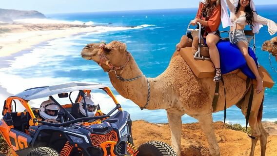 Fun Camel Ride and UTV COMBO with Tequila Tasting!