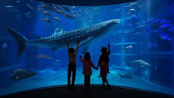 Excursión de un día con entrada incluida: Acuario de Peces de Agua Dulce del Mundo + Castillo Inuyama + Museo Aeroespacial