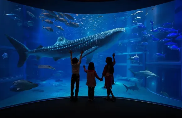 【含場地門票】世界淡水魚水族館+犬山城+航空宇宙博物館一日遊