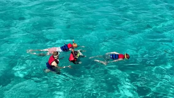 エジプト・シャルム・エル・シェイクのラス・モハメッド自然保護区でダイビング&シュノーケリング6時間体験【ワンデーツアー シャルム市内ホテル送迎 シュノーケリング 昼食 穴場シュノーケリングスポット】