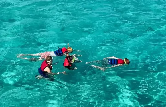 埃及沙姆沙伊赫穆罕默德國家公園體驗潛水浮潛6小時【懷特島一日遊 沙姆市區酒店接送 浮潛 午餐 小眾浮潛】