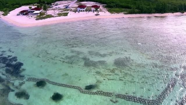 Paradise Cove Day Pass with Pickup from Freeport