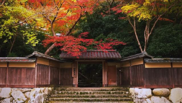 日本大阪-黑門市場-通天閣-心齋橋-道頓堀-經典購物