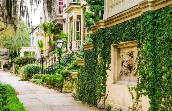 薩凡納水陸套票：城市觀光電車之旅連郵輪河遊