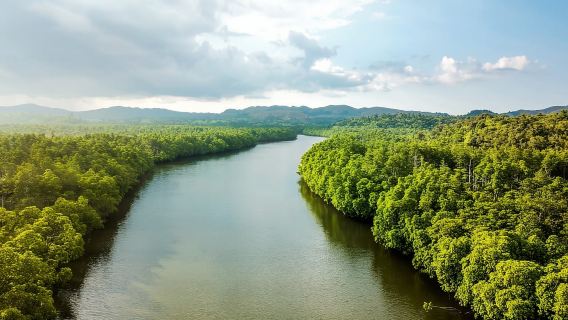 Anda Bohol: Gua, Air Terjun dan Teres Padi Cadapdapan