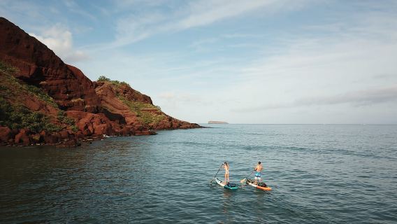 Maui: Penyewaan Stand-Up Paddleboard